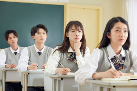 东北林业大学金融专硕报考条件及流程2026年