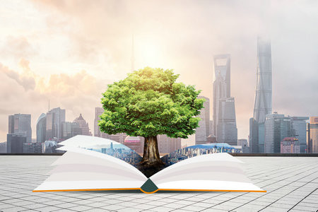 2026东北林业大学MBA考试考什么科目？