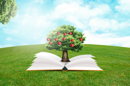 法国克莱蒙高等商学院国际博士认可度