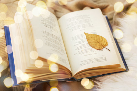 专科可以报考卡米洛何塞塞拉大学国际硕士吗？