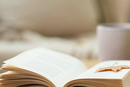 法国亚眠高等商学院国际硕士报考条件及流程 法国亚眠高等商学院国际硕士报考条件及流程