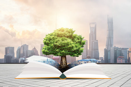 2026医院管理中外合办报考常见问题