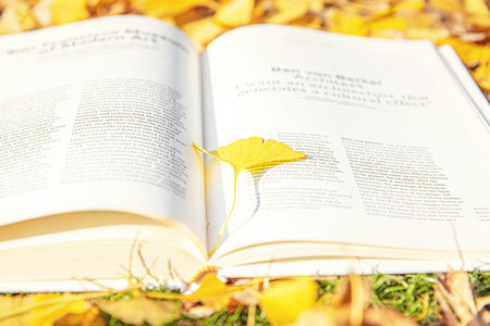 法律(非法学)非全日制研究生报名及考试时间