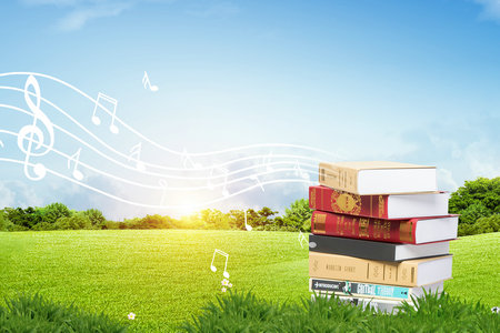 美国雪兰多大学国际博士考试科目