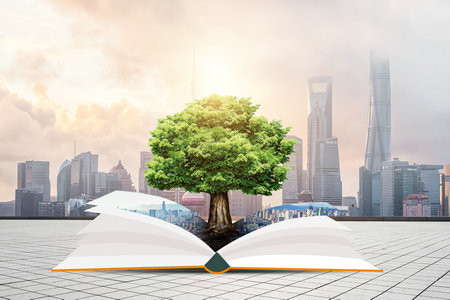 2026美国印第安纳大学国际博士考试考什么科目？