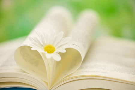 美国卡罗尔大学国际博士考试科目 美国卡罗尔大学国际博士考试科目