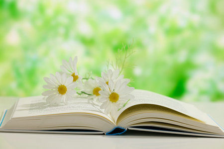 西班牙武康大学国际硕士考试科目 西班牙武康大学国际硕士考试科目