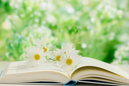 湘潭大学同等学力申硕考试科目