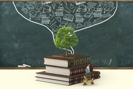 河北经贸大学MEM考试科目