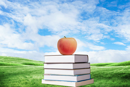 西班牙加泰罗尼亚理工大学国际博士考试科目