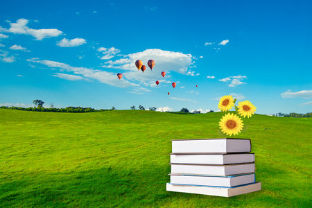 胡安卡洛斯国王大学国际博士考试科目