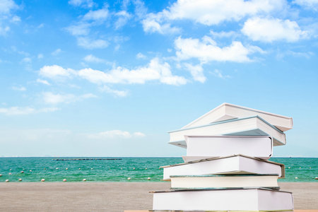 哈尔滨工程大学MEM考试科目 哈尔滨工程大学MEM考试科目