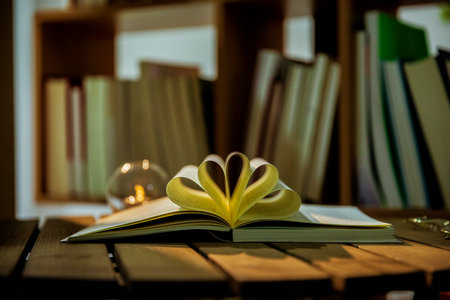 广东财经大学MBA考试科目