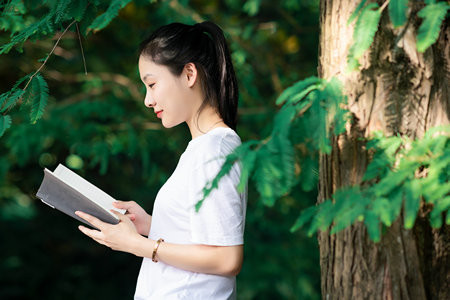 石家庄铁道大学MEM成绩啥时候出来，怎么查询？