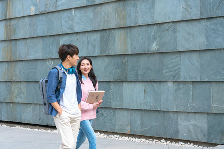四川师范大学MPA成绩怎么查询？