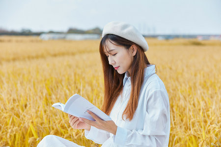 重庆大学MEM分数线过了就能上吗？