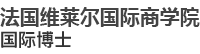 法国维莱尔国际商学院国际博士