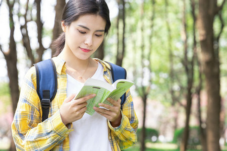 比较文学与世界文学在职研究生报考条件