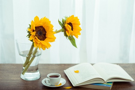 时间安排！上海对外经贸大学专业硕士招生时间