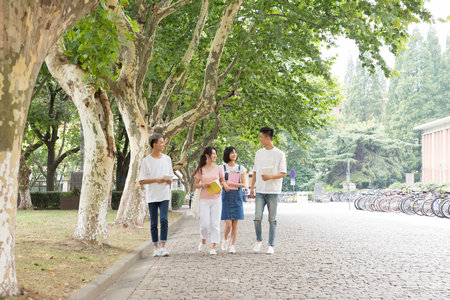 西班牙内布里哈大学招生人群