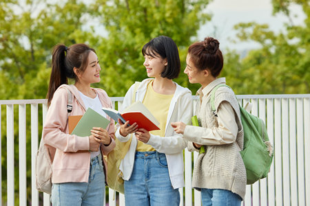 艺术学国际硕士招生流程