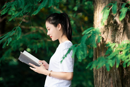 内蒙古科技大学在职研究生招生学院