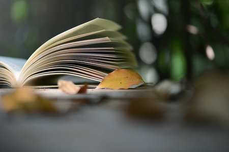 上海财经大学MF招生简章