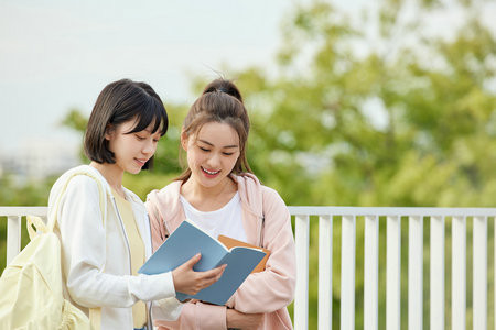 艺术学国际硕士招生地区有哪些