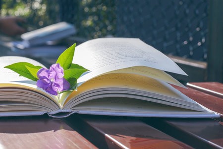 应用心理学在职研究生招生院校及各院校招生详情！