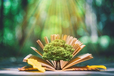 须知！经济学在职研究生招生条件+招生院校+学制学费