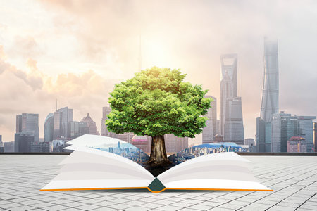 2025年闽江学院在职研究生招生流程