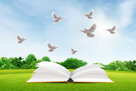 2026法国亚眠高等商学院国际博士招生条件