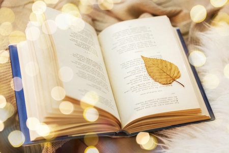 2026国际工商管理硕士（IMBA）中外合办招生时间