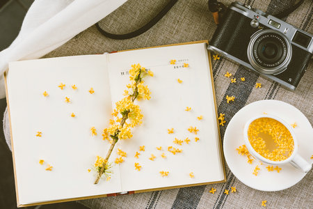 浙江理工大学同等学力申硕招生简章 浙江理工大学同等学力申硕招生简章