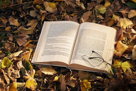 2026年西安外国语大学同等学力申硕招生简章