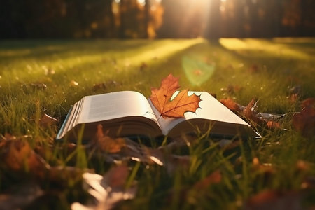 齐齐哈尔大学非全日制研究生招生简章 齐齐哈尔大学非全日制研究生招生简章