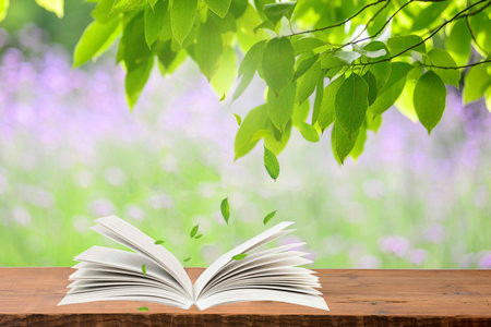 2026年西安财经大学同等学力申硕招生专业一览表