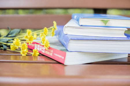 东北财经大学非全日制研究生招生专业