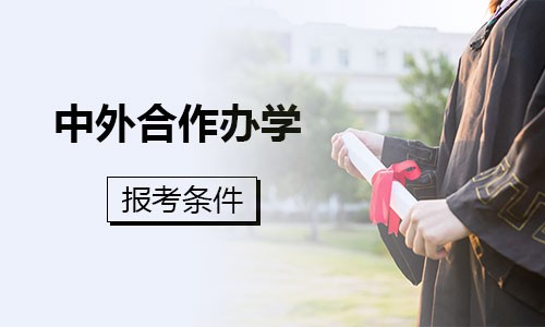 中外合作办学报考条件