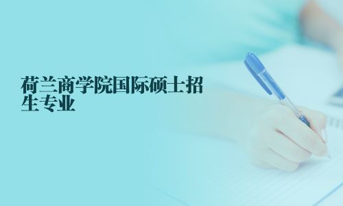 荷兰商学院国际硕士招生专业