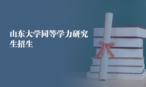 山东大学同等学力研究生招生