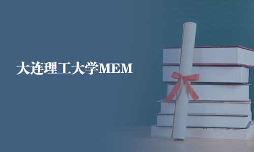 大连理工大学MEM