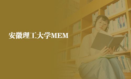 安徽理工大学MEM