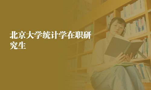 北京大学统计学在职研究生