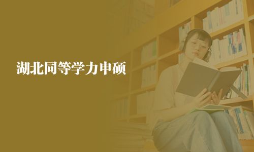 湖北同等学力申硕