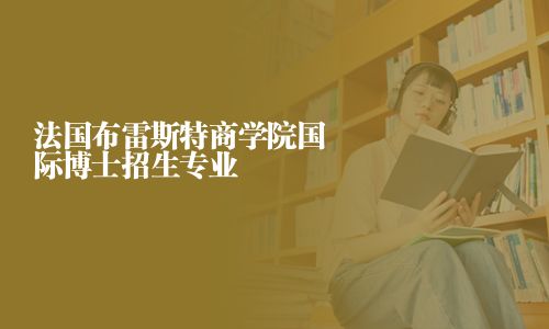 法国布雷斯特商学院国际博士招生专业