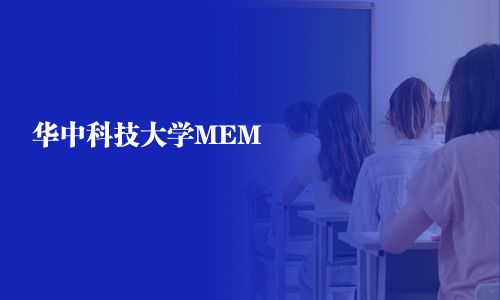 华中科技大学MEM