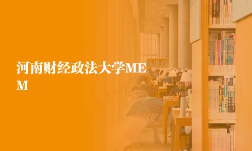 河南财经政法大学MEM