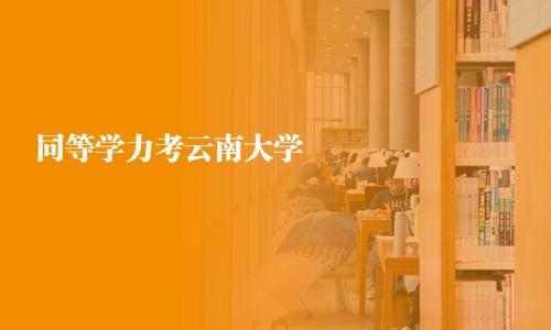 同等学力考云南大学
