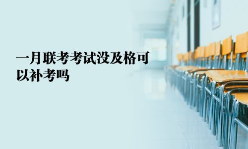 一月联考考试没及格可以补考吗